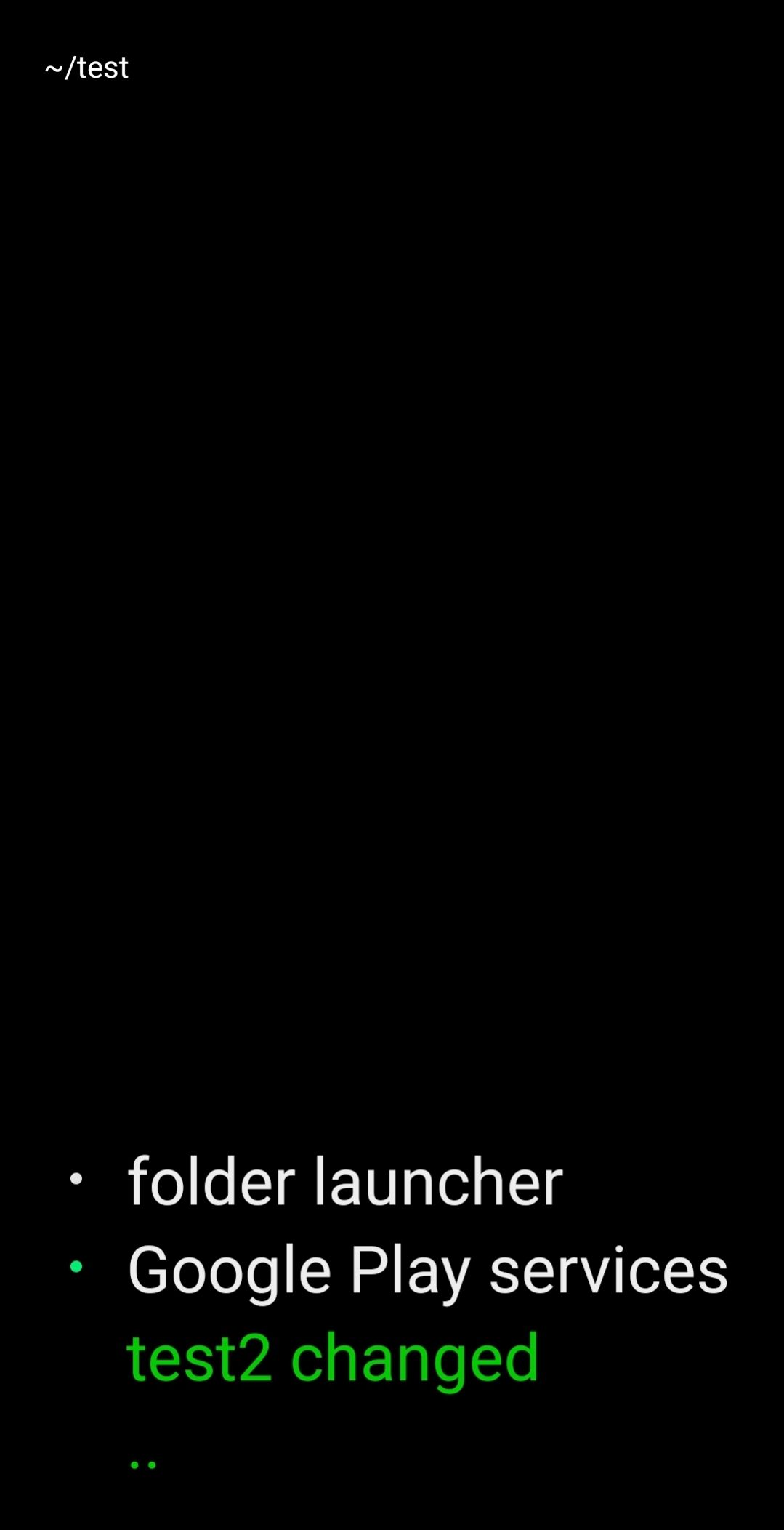 Home screen customized with all the options previously mentioned